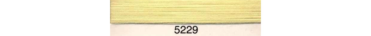 Delta sytråd 50 5000m - 5229